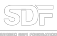 STEREO DIVE FOUNDATION