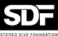STEREO DIVE FOUNDATION