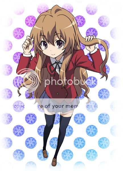 Taiga Aisaka, Wiki