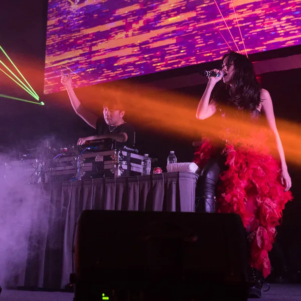 Vocalist and DJ performing on stage