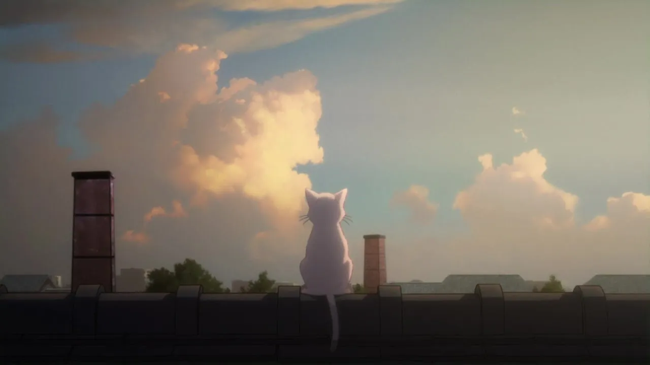 Chasing Cats