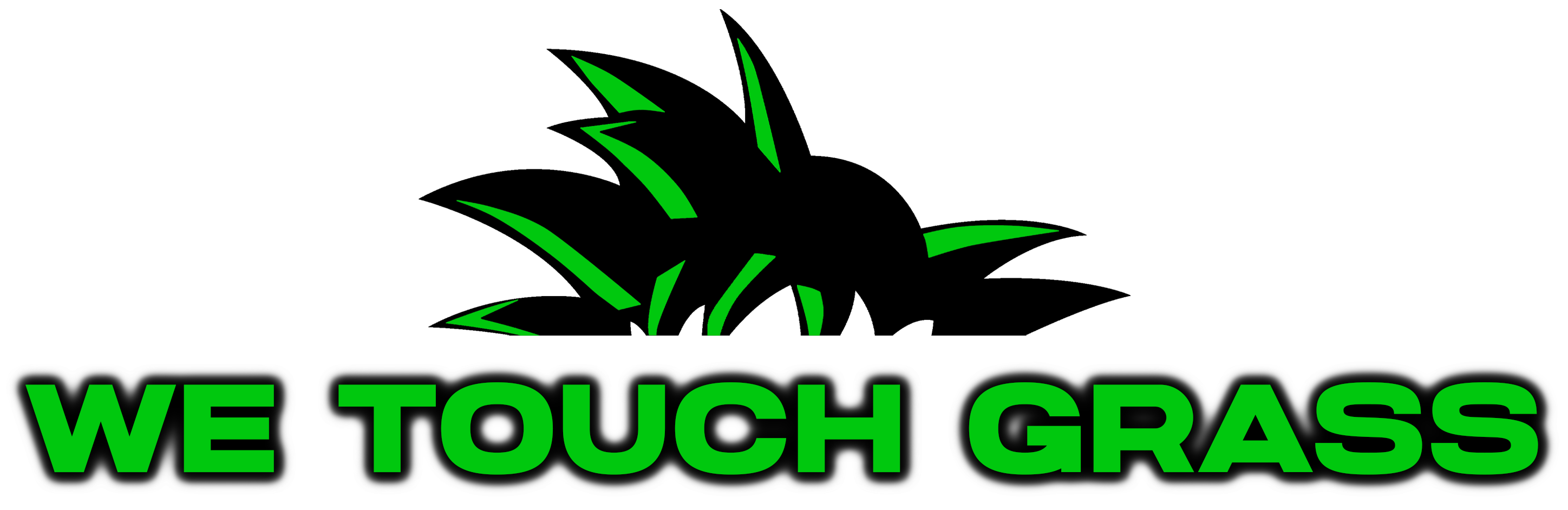 We Touch Grass